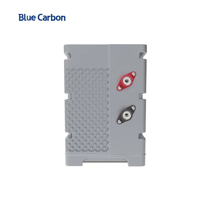 Blue Carbon Rechargeable LiFePO4 Battery 12V Lithium Ion Battery Bank best